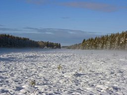 IMGP9438_Vinterstemning